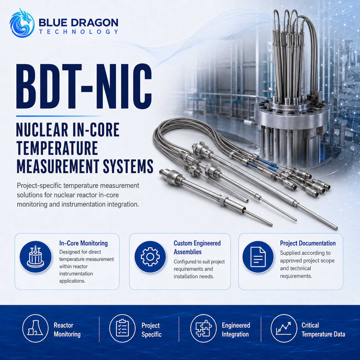 BDT-NIC Nuclear In-Core Temperature Measurement Systems